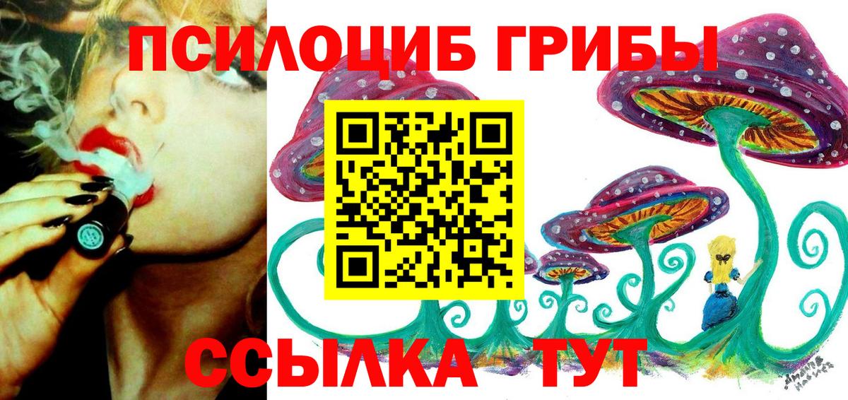 Псилоцибиновые грибы Magic Shrooms Сокол