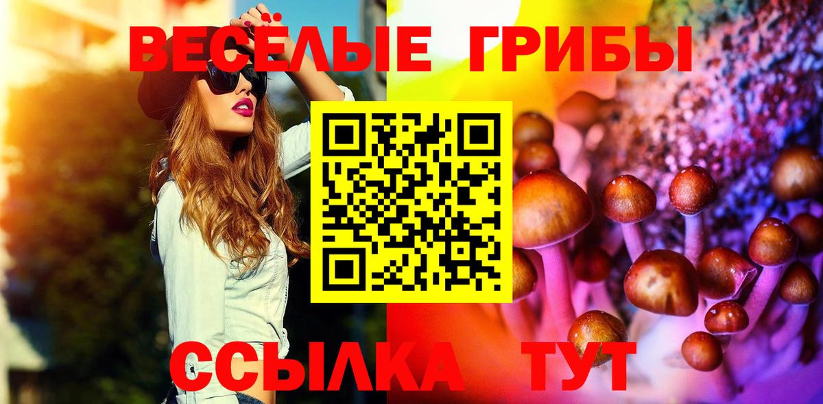 Псилоцибиновые грибы мухоморы  цены   Вход с VPN  Сокол  Галлюциногенные грибы Psilocybine cubensis 